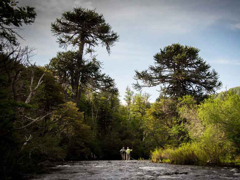 fly fishing north patagonia with Andes Drifters