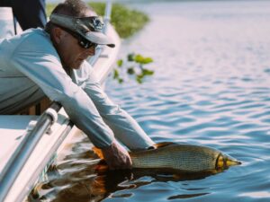 ZentoSlinger_Fiska_Iberia_1161600x1000