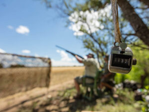 MF_2015_036-2441000x750